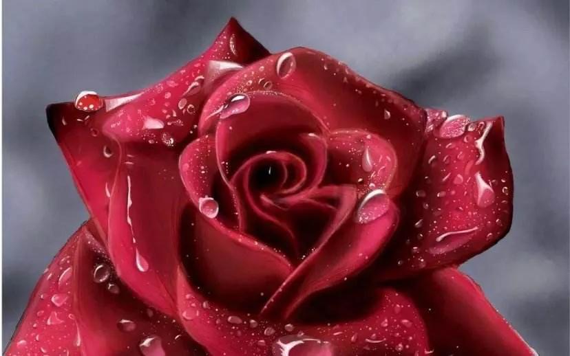 杯中海洋第17章,第十三章小说阅读