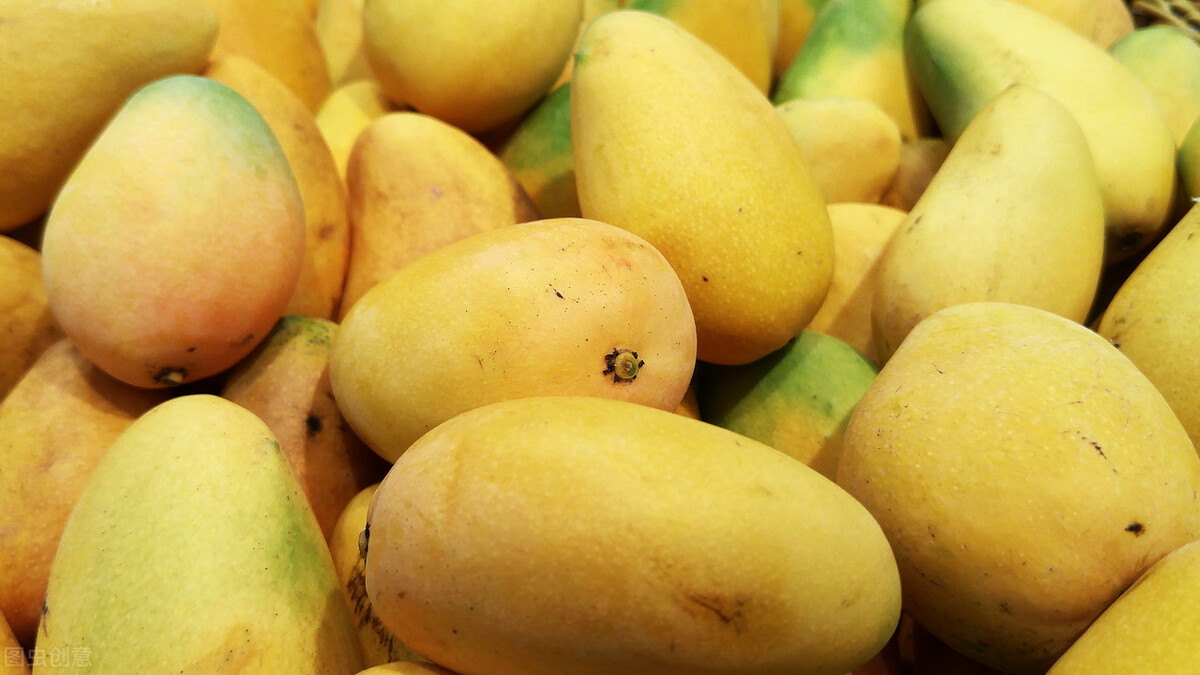 选芒果时，别只知道看大小，牢记“3看1闻1吃”原则，个个香甜