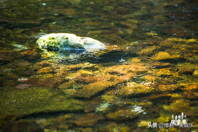 张家界团队游玩路线攻略图,张家界三日游详细攻略