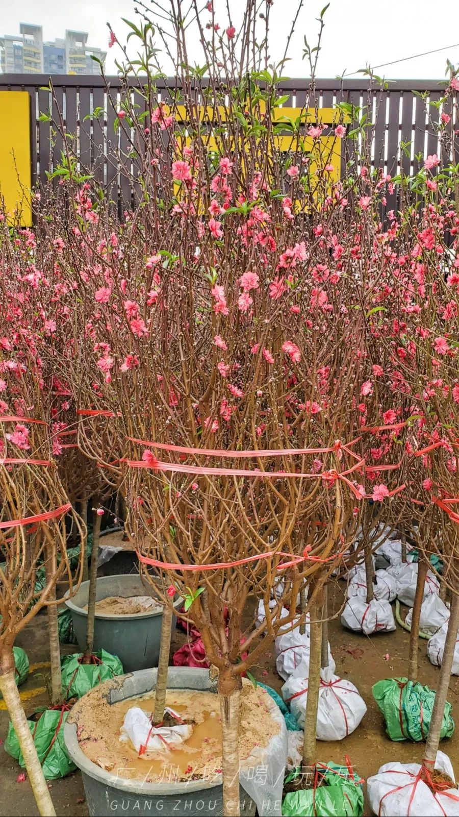 广州最值得购物的东西,广州购物攻略推荐