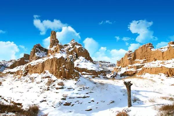 2020宁夏一日游旅游景点推荐,银川一日游最佳地方宁夏海洋公园