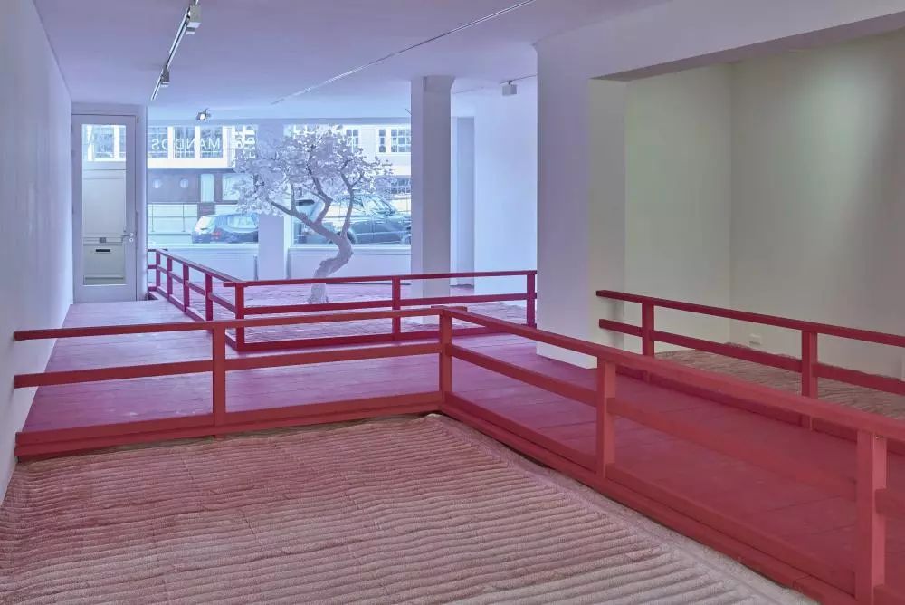 色弱有天生的吗,色弱人的出路