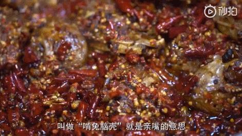 四川兔子死亡率,兔兔终结者