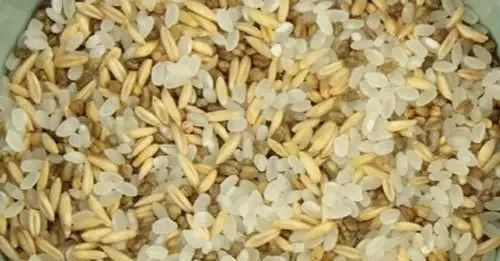 每天吃一顿能降血脂吗,每天吃一勺提高免疫力