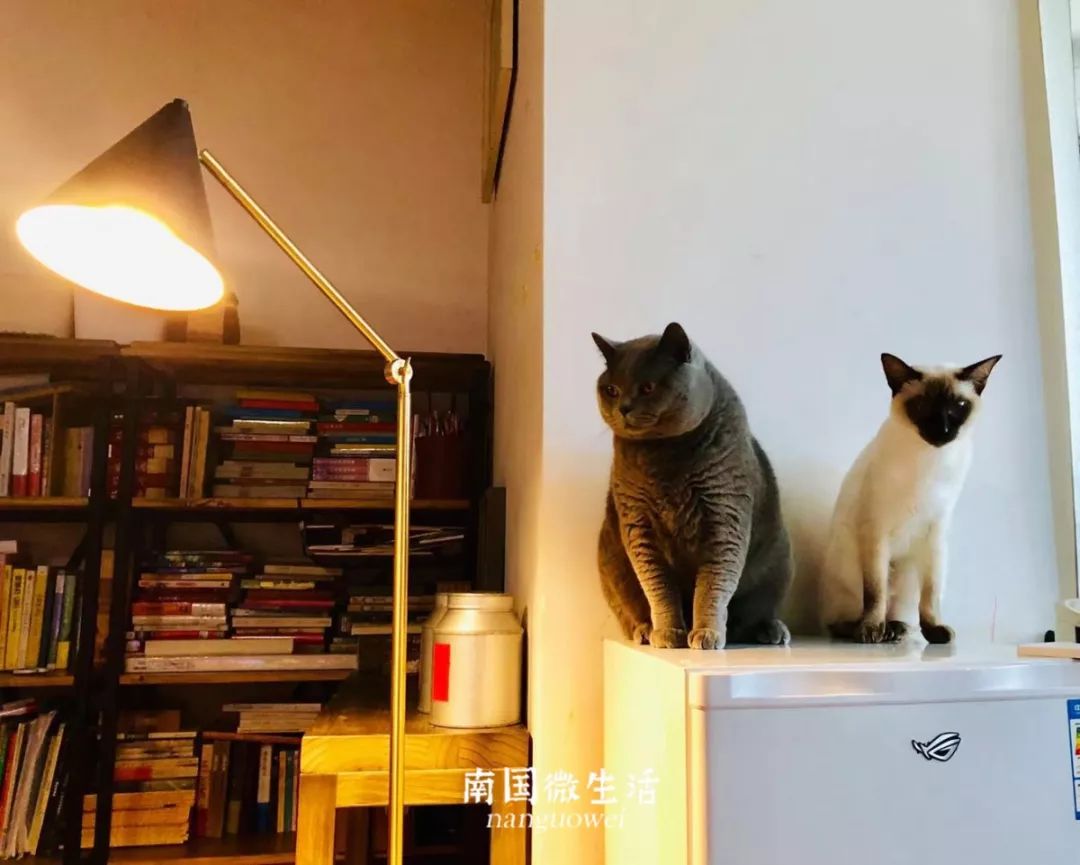 顶不住了！看看在家办公半个月的南宁人