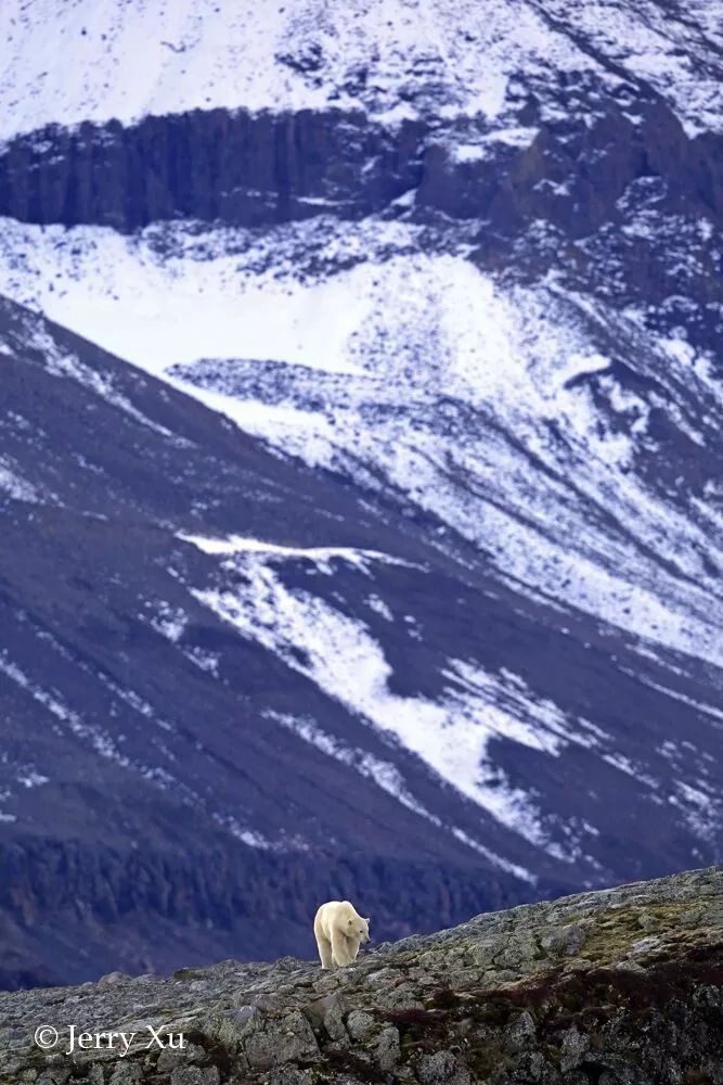 格陵兰的东海岸居然那么绚丽多彩，难怪特朗普想要买下来