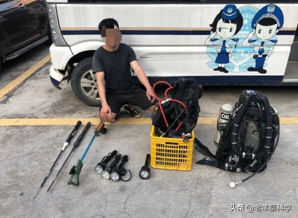 三男子猎捕芝麻剑被刑拘,3男子猎捕芝麻剑被刑拘