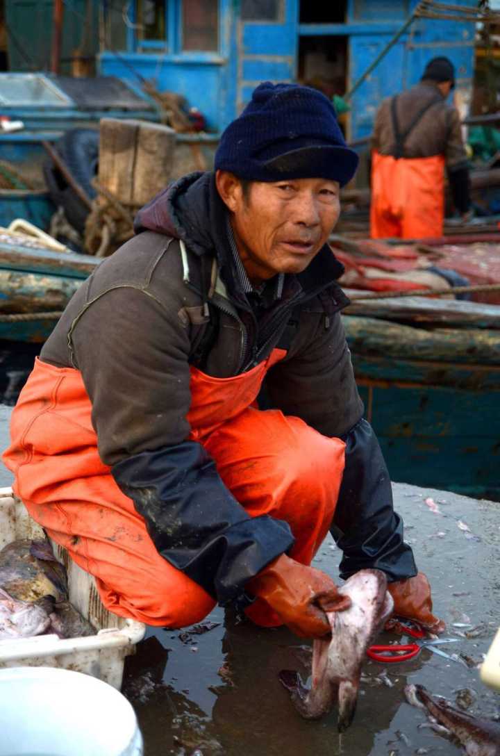 当渔民,你想当渔夫还是富翁