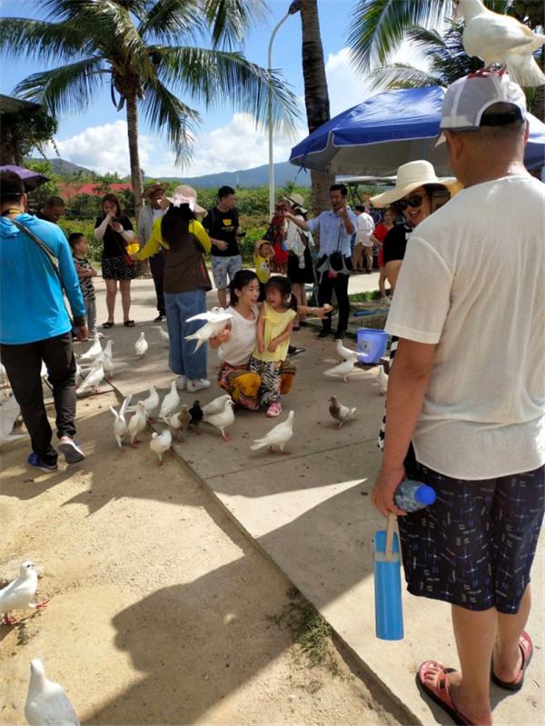 三亚亲子游玩攻略2-3天一晚住宿,三亚亲子游玩攻略二天一晚