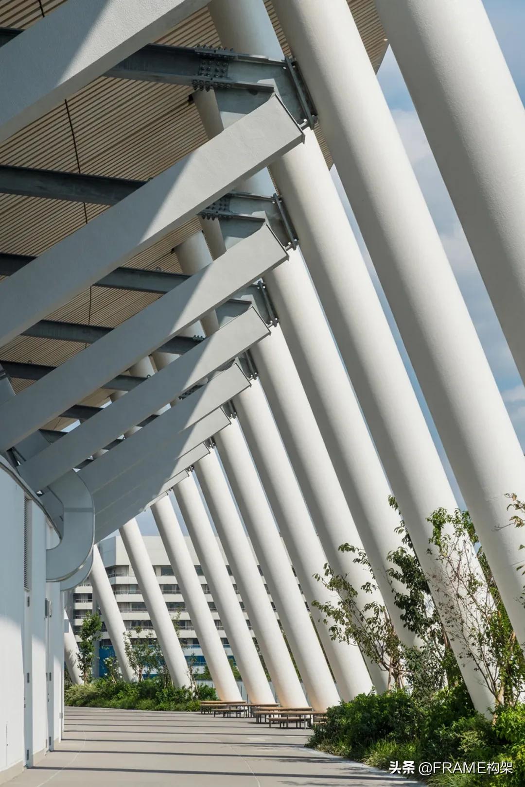 2020东京奥运会体育场设计,东京奥运会国立竞技场设计