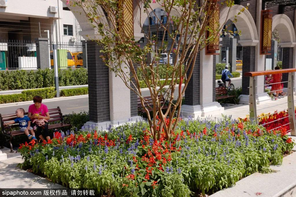 绿皮火车公园打卡景点,各种各样的免费公园