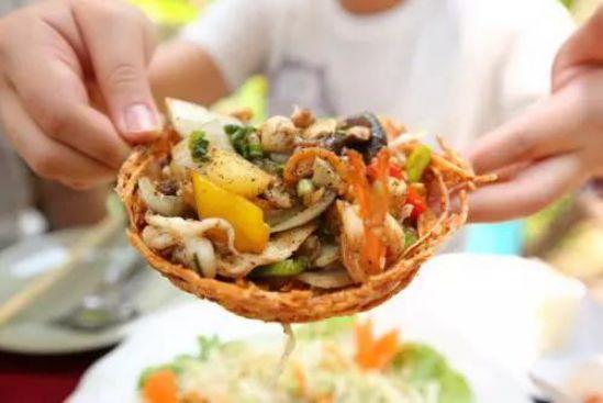 清迈大象义工,清迈大象救助营