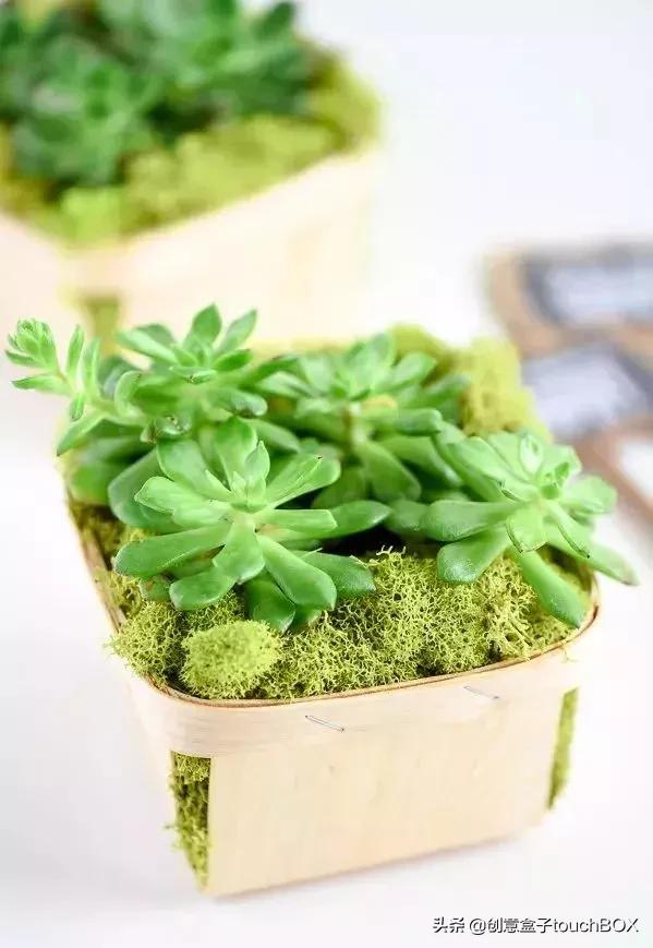 教师节创意礼物一年级,教师节创意礼物排行榜