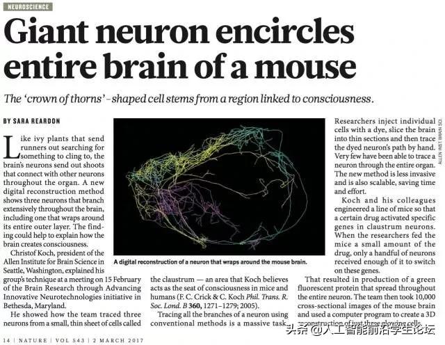生物，AI，心理：目前的大脑/认知/意识/AGI/DRL模型