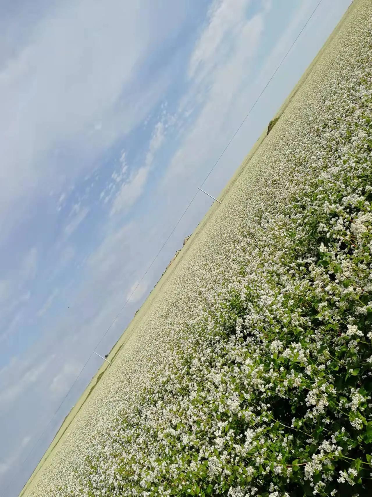 凡立事，谋于阴而取于阳——《古文观止》读书笔记（五十一）