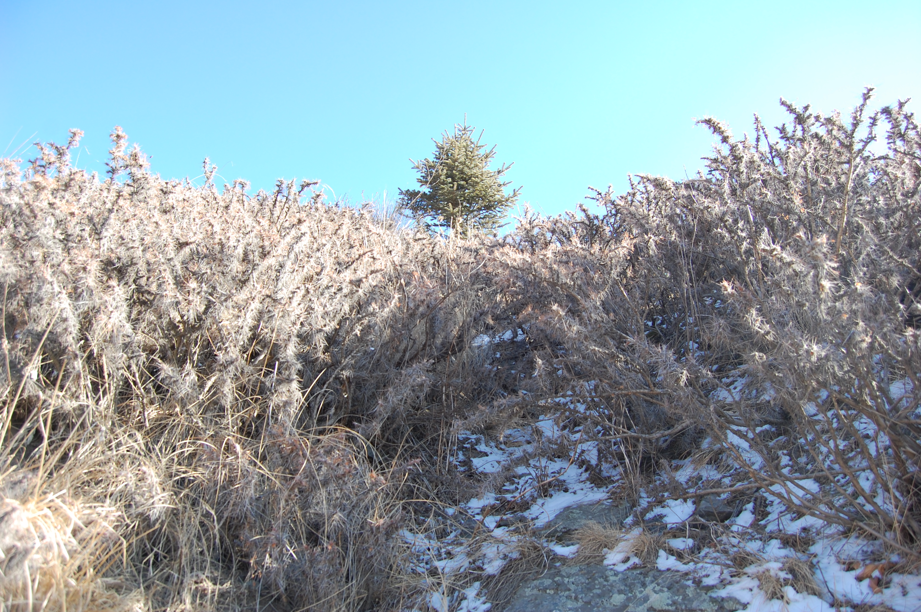 五台山最新攻略,五台山游玩攻略指南最新