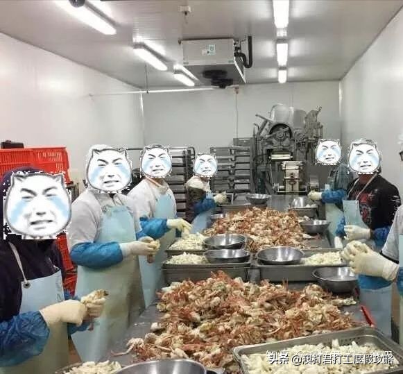 十大最累最赚钱的工作,哪些比较赚钱的工作可以在家做