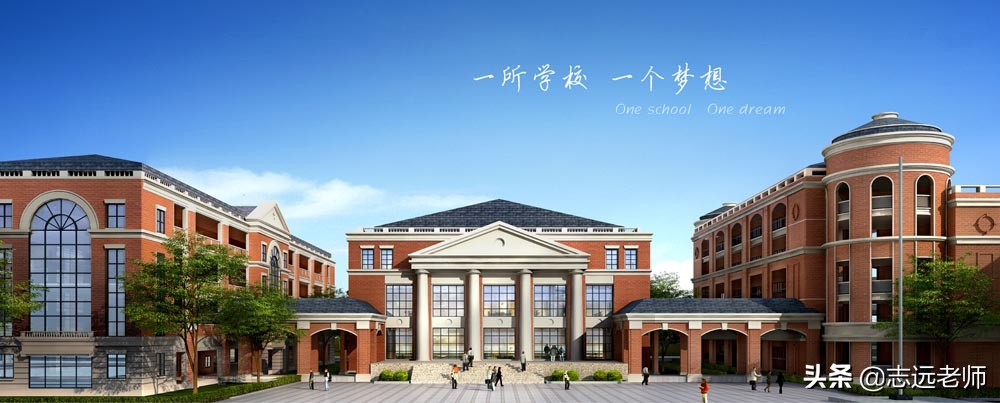 私立学校是营利还是非营利,私立学校越来越多对教育有影响吗