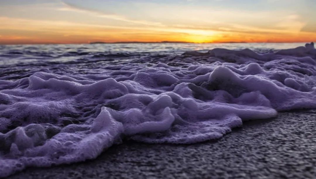 人脉如此重要：职场新人如何有效提高自己的人脉“搜索力”。