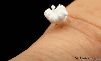 看图猜东西输的人有惩罚,看图猜对一半是高手