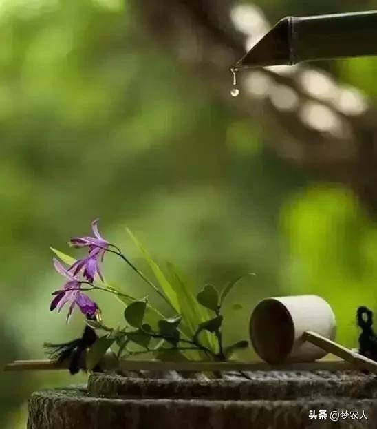 留人间多少爱迎浮世千重变出处,留人间多少爱迎浮世千重变的意思