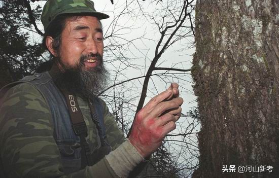 寻找野人的张金星现在如何,张金星神农架野人