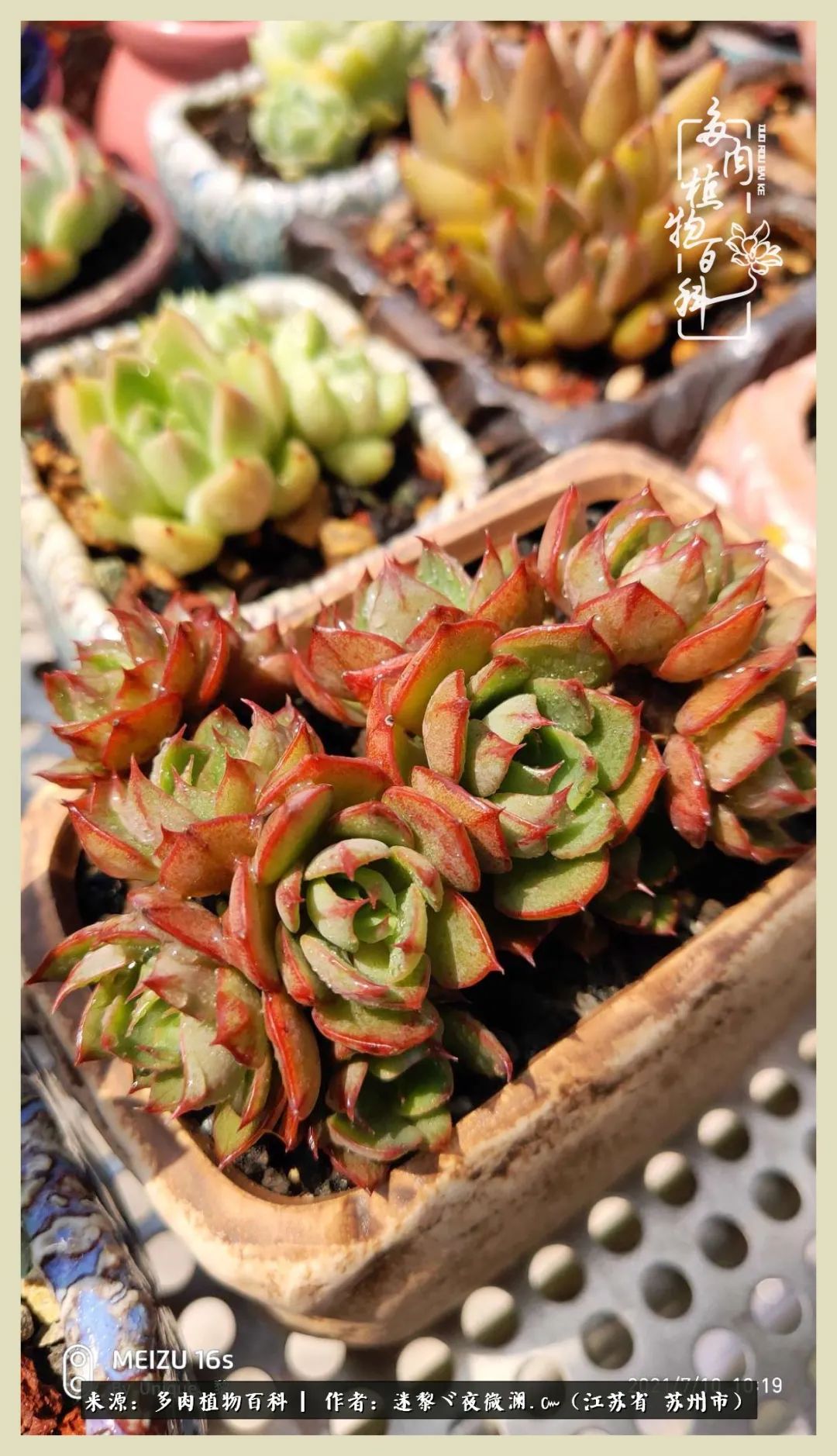 秋尽冬来岁月不居时节如流,岁月不居时节如流水