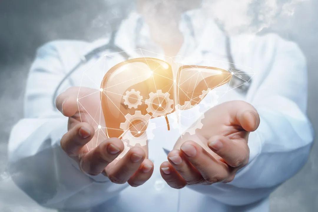 身体工厂里面都有什么“零件”，您都清楚吗？