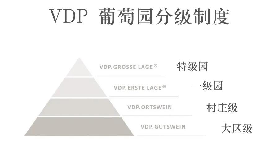 包学包会视频教程,一分钟看懂德国葡萄酒
