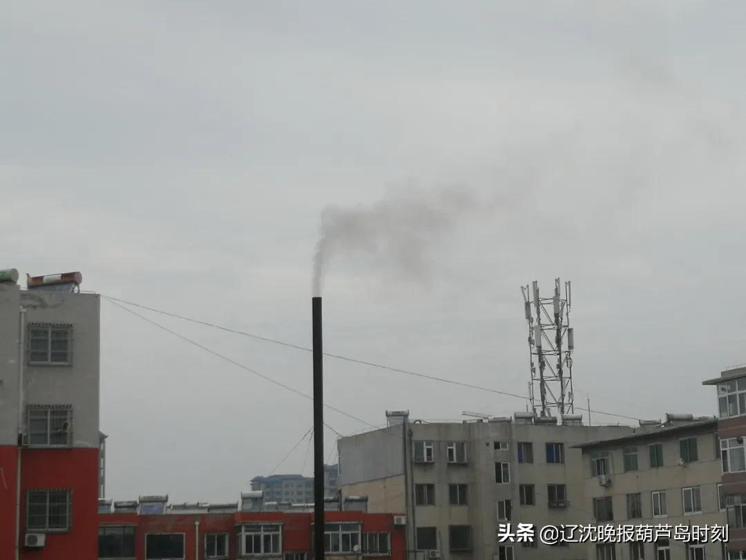 葫芦岛今日要闻,葫芦岛晚间新闻