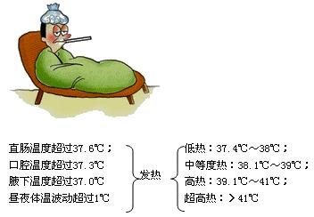 适合老年人服用的首选退热药是,7岁退热药哪种好