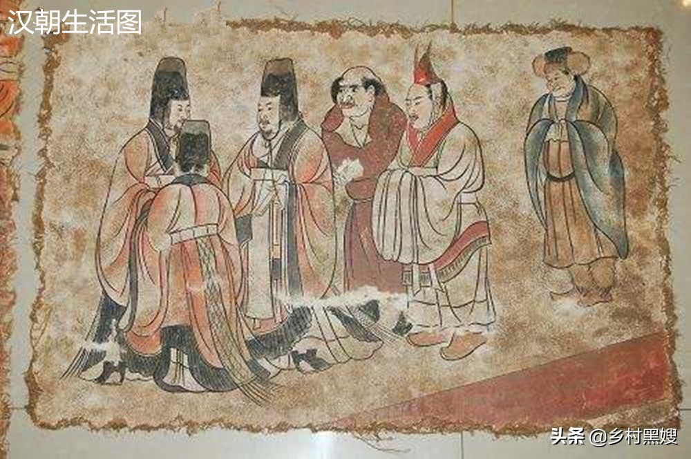 农作物棉花来自哪里?是国产吗?一口气搞懂棉花的前世今生