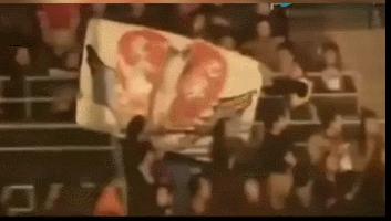 2001年田震颁奖事件视频现场,2001田震领奖现场发飙