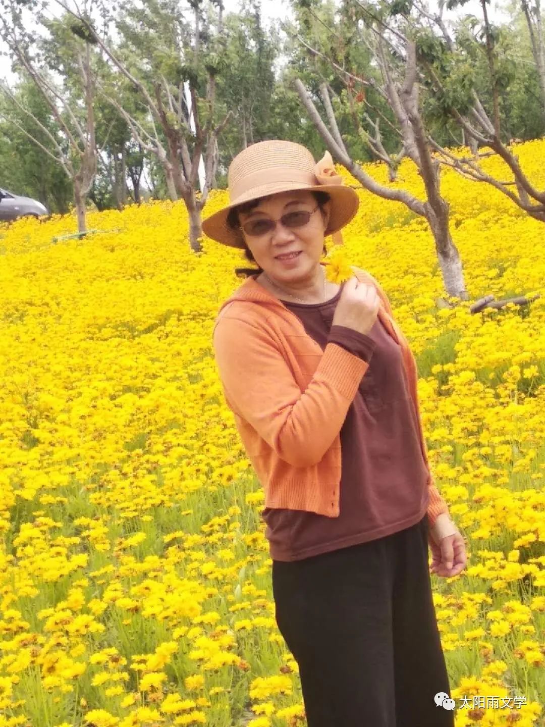 魏晓艳：缘来缘往一一白落梅作品读后感