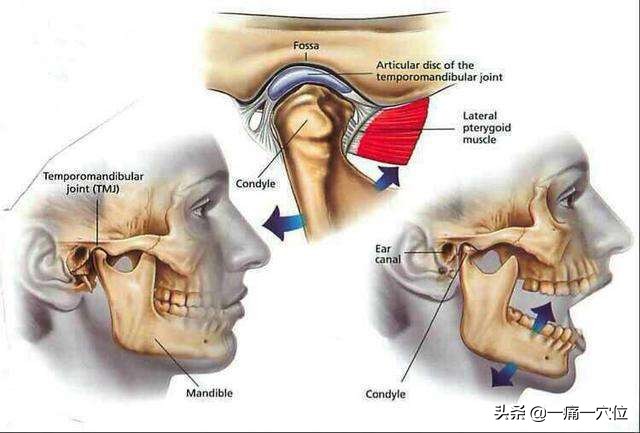 下颌角疼一按就疼嘴巴张不开,下颌疼张口受限