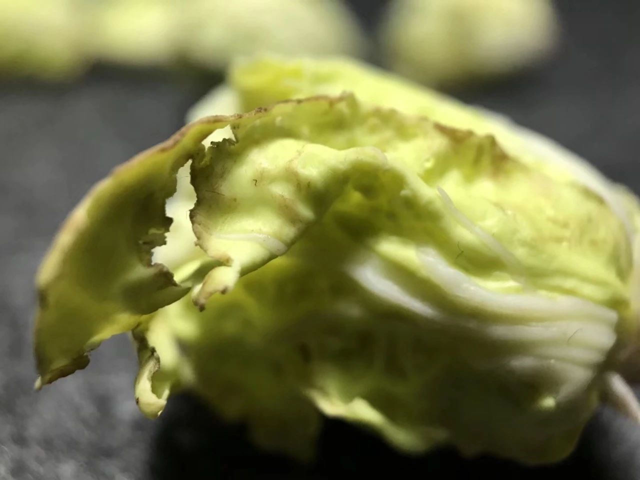 一个90后全职妈妈,一个90后的全职妈妈