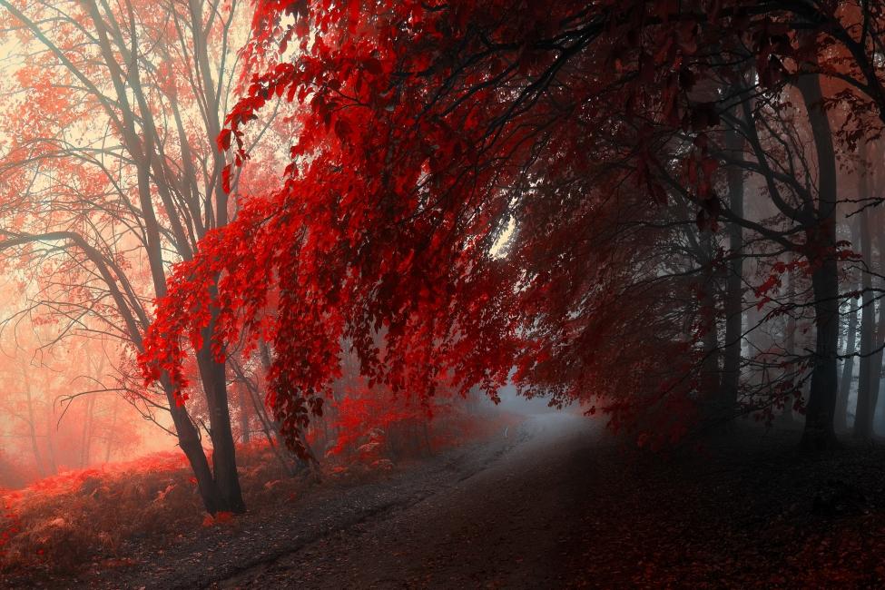 安宁的意思有什么区别,安宁的含义是什么