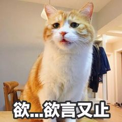 一键把pdf转换成照片,一键将pdfwordppt相转换