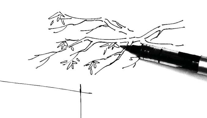 大师级绘画树的画法,树的简单绘画