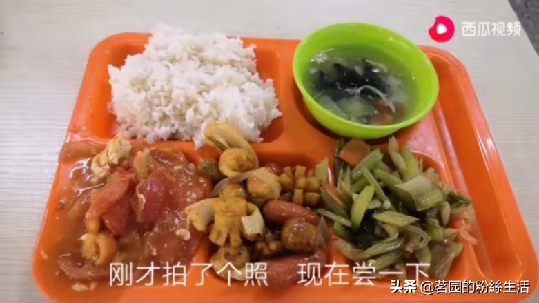 沈阳怪坡虎园,沈阳怪坡