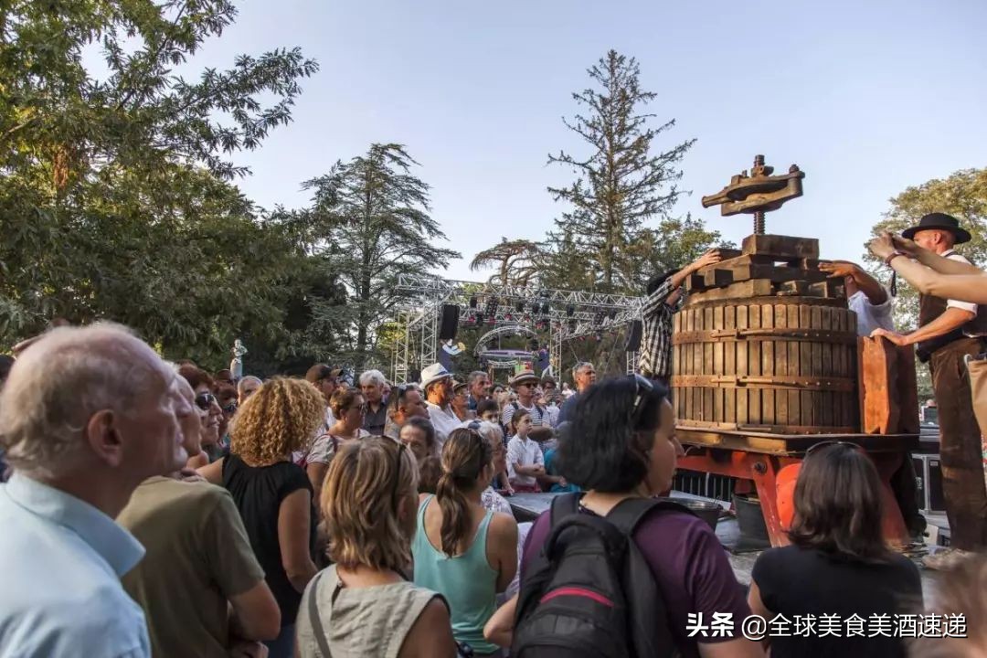 法国葡萄园工人收入,在法国葡萄酒厂打工赚钱吗