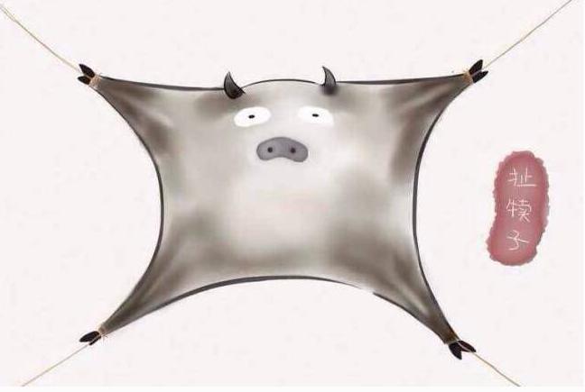 东北四大犊子是啥,东北四大神兽叫什么