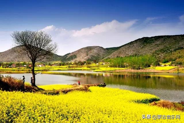 新歌推荐|乌兰娜《童年的油菜花》油菜花开正当时不负*光春**不负己