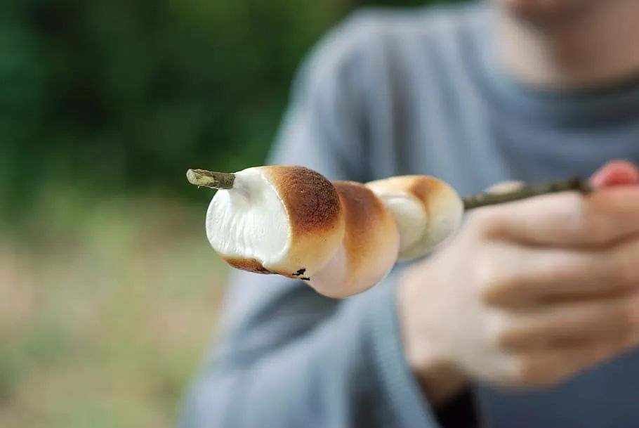 露营吃什么！10款经典户外美食，哪个才是你的菜？