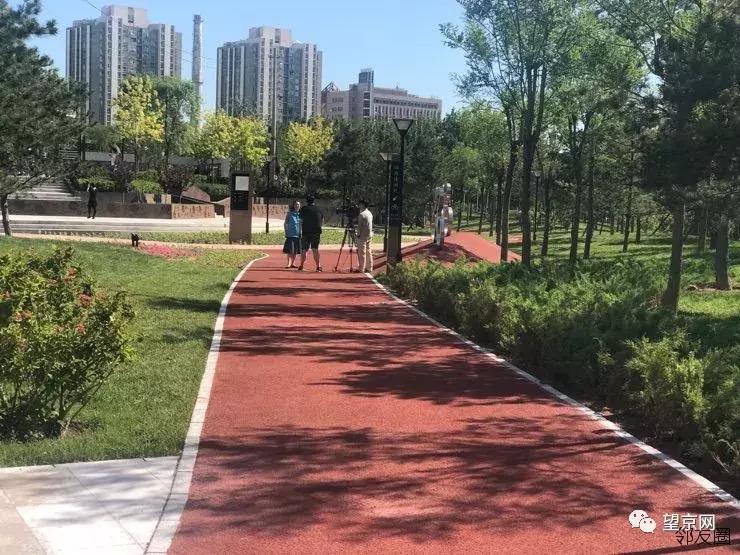 北京望京体育公园在哪儿,望京体育公园