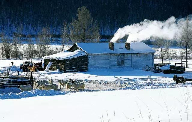 中国最美雪景地方,最适合旅游的雪国