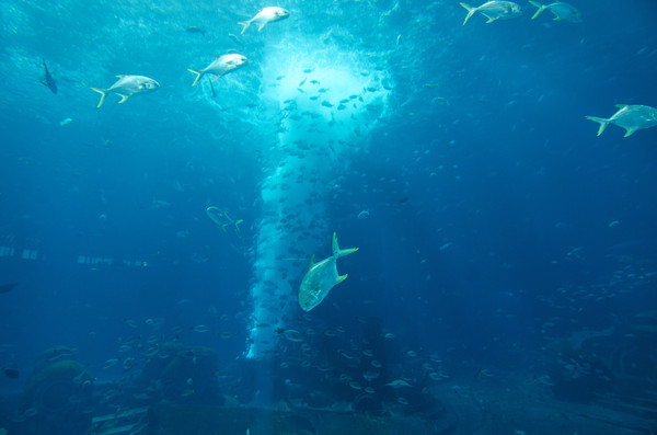 三亚位置好的酒店,三亚位置好公寓