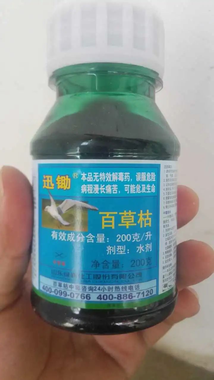 13岁女孩喝下百草枯后续最近消息,13岁女孩喝下百草枯事件全过程