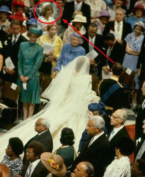 戴安娜对查尔斯的报复,戴安娜和查尔斯不和的原因