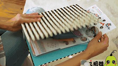 妈妈晒出家里的十二个女儿,妈妈晒出两个女儿